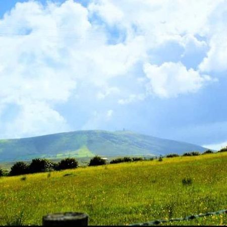 Cozy & Remote Hideaway Gintys Cottage Ross Port Εξωτερικό φωτογραφία